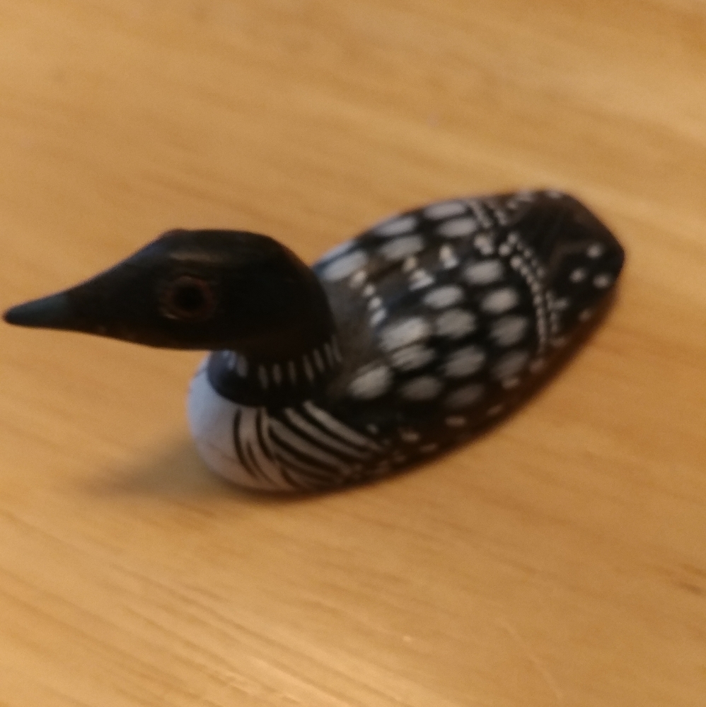 Pacific Rim Inuit Duck